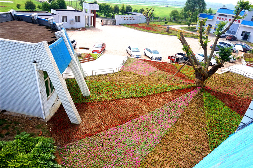 市目標(biāo)督查室督查杰陽(yáng)排水公司“花園式工廠(chǎng)”建設(shè)工作